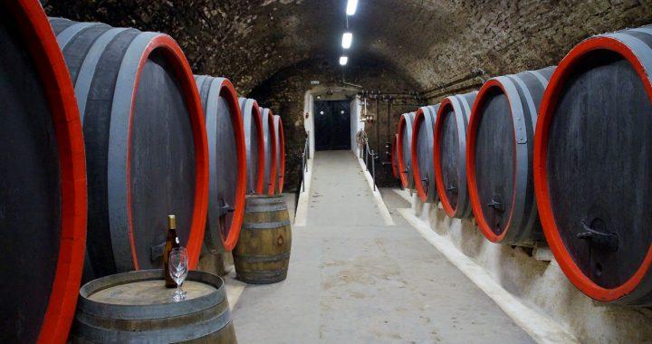 La Rioja: elaboracion vino con “La Vieja Bodega”  “Gomez Cruzado”